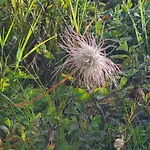 Haus Stehbock Casa vacanze