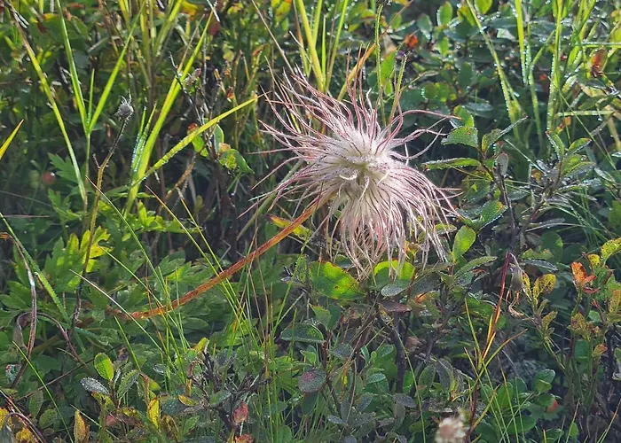 Haus Stehbock Vakantiehuis
