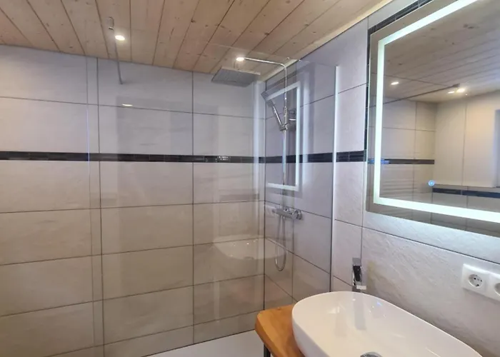 Haus Stehbock * Partenen