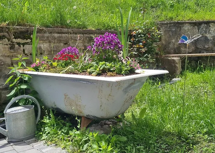 Haus Stehbock * Partenen